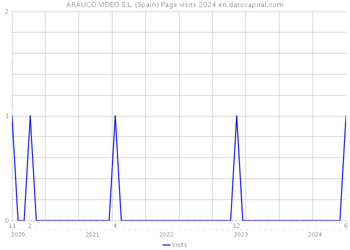 ARAUCO VIDEO S.L. (Spain) Page visits 2024 