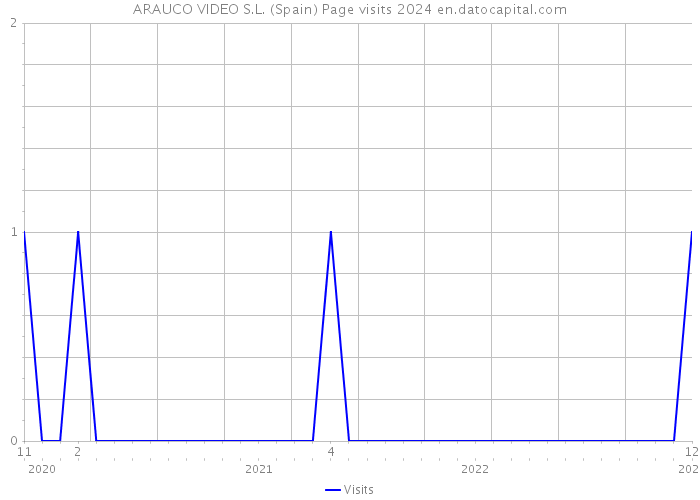 ARAUCO VIDEO S.L. (Spain) Page visits 2024 