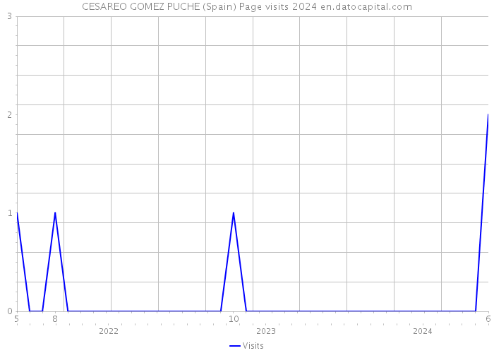 CESAREO GOMEZ PUCHE (Spain) Page visits 2024 