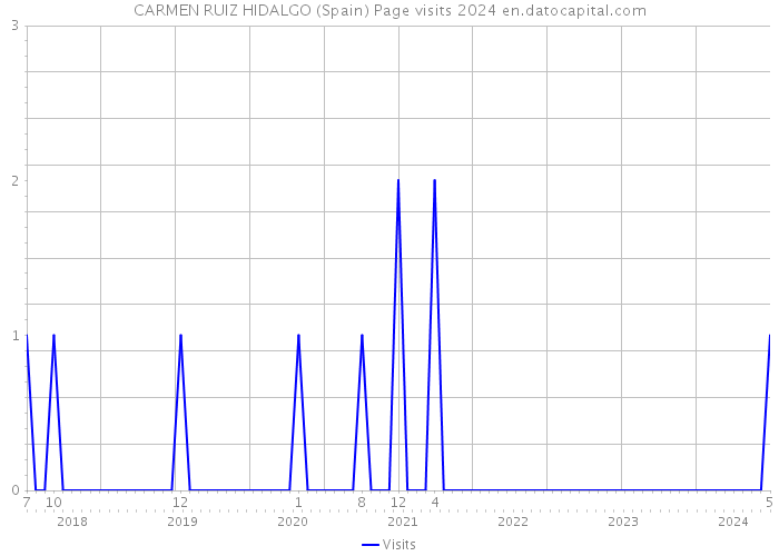 CARMEN RUIZ HIDALGO (Spain) Page visits 2024 