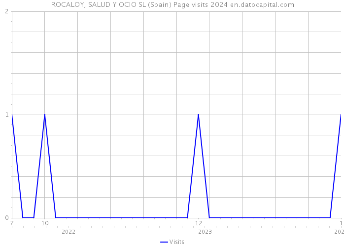 ROCALOY, SALUD Y OCIO SL (Spain) Page visits 2024 