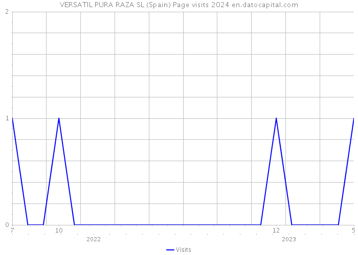 VERSATIL PURA RAZA SL (Spain) Page visits 2024 