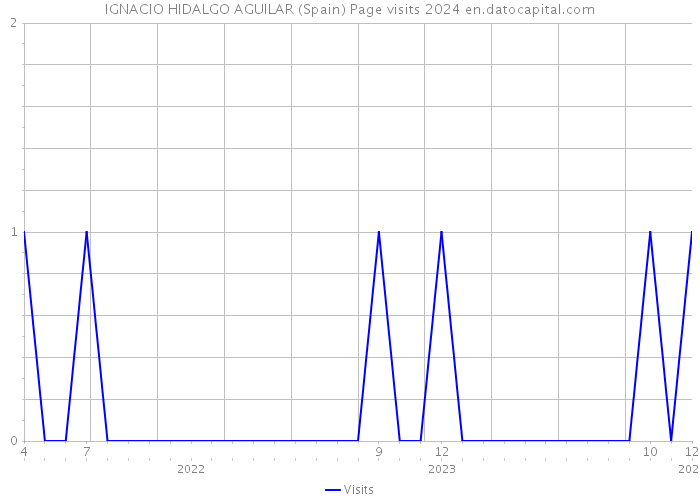 IGNACIO HIDALGO AGUILAR (Spain) Page visits 2024 