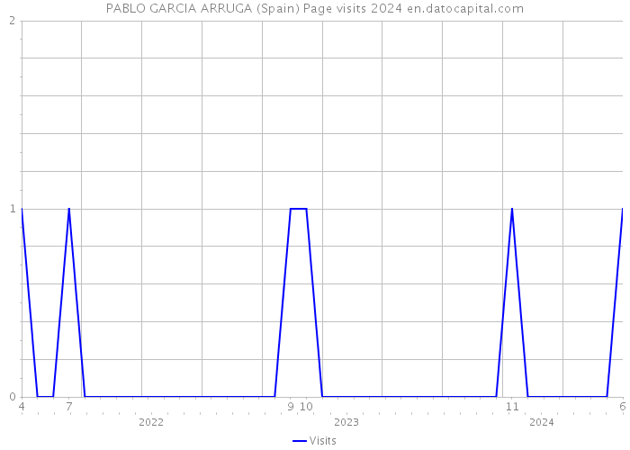 PABLO GARCIA ARRUGA (Spain) Page visits 2024 