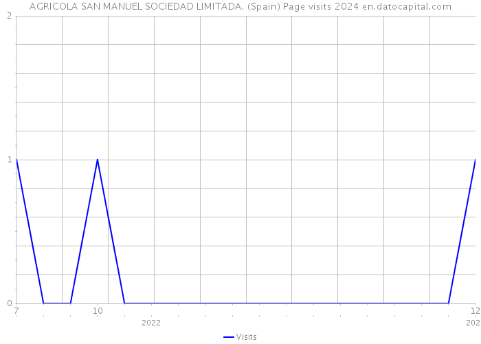AGRICOLA SAN MANUEL SOCIEDAD LIMITADA. (Spain) Page visits 2024 