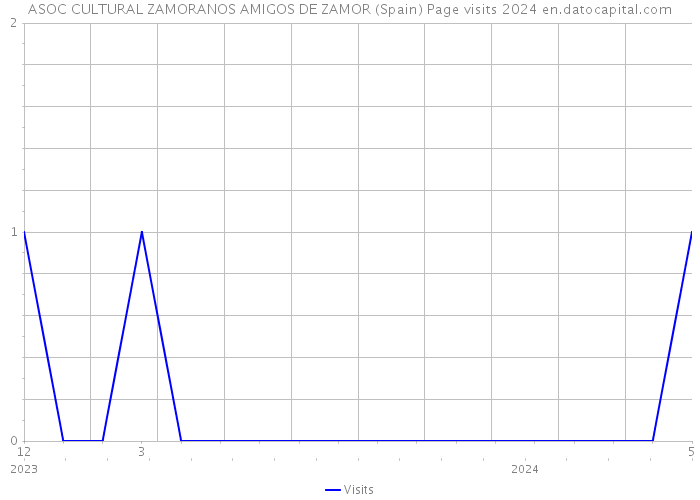 ASOC CULTURAL ZAMORANOS AMIGOS DE ZAMOR (Spain) Page visits 2024 