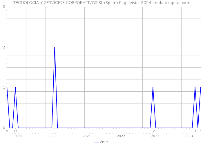 TECNOLOGIA Y SERVICIOS CORPORATIVOS SL (Spain) Page visits 2024 