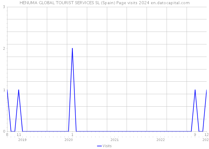 HENUMA GLOBAL TOURIST SERVICES SL (Spain) Page visits 2024 