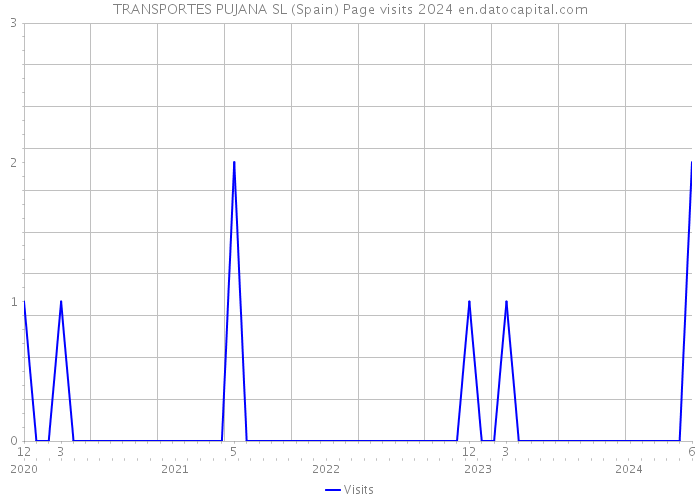 TRANSPORTES PUJANA SL (Spain) Page visits 2024 