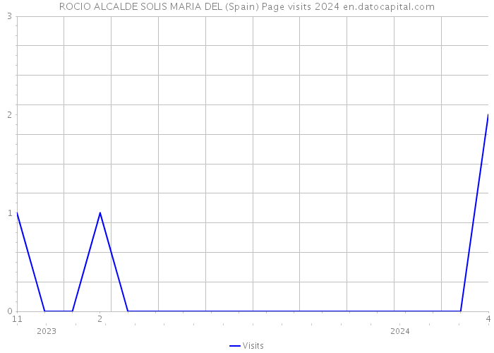 ROCIO ALCALDE SOLIS MARIA DEL (Spain) Page visits 2024 