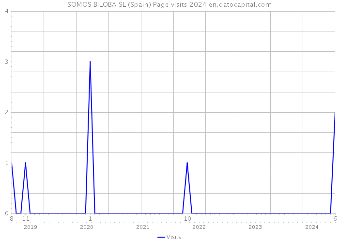 SOMOS BILOBA SL (Spain) Page visits 2024 