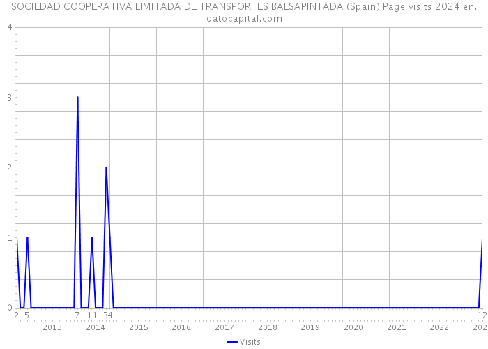 SOCIEDAD COOPERATIVA LIMITADA DE TRANSPORTES BALSAPINTADA (Spain) Page visits 2024 
