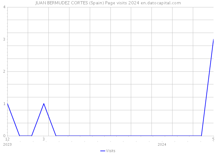 JUAN BERMUDEZ CORTES (Spain) Page visits 2024 