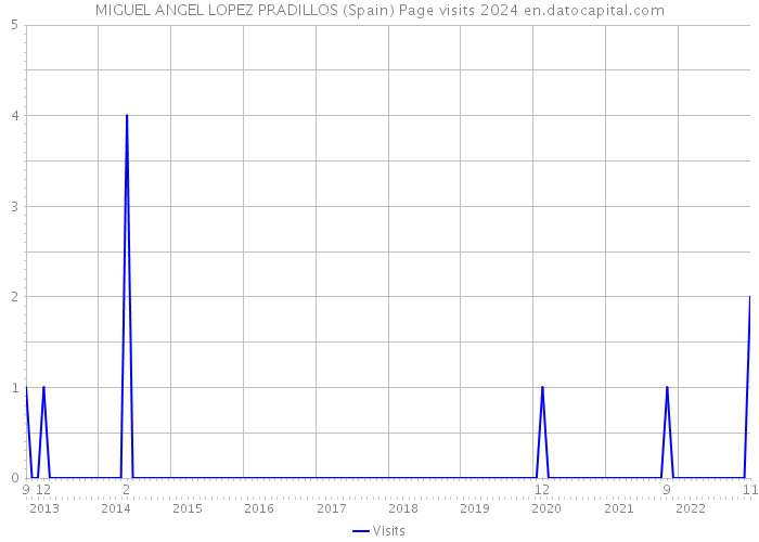 MIGUEL ANGEL LOPEZ PRADILLOS (Spain) Page visits 2024 