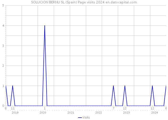 SOLUCION BERNU SL (Spain) Page visits 2024 