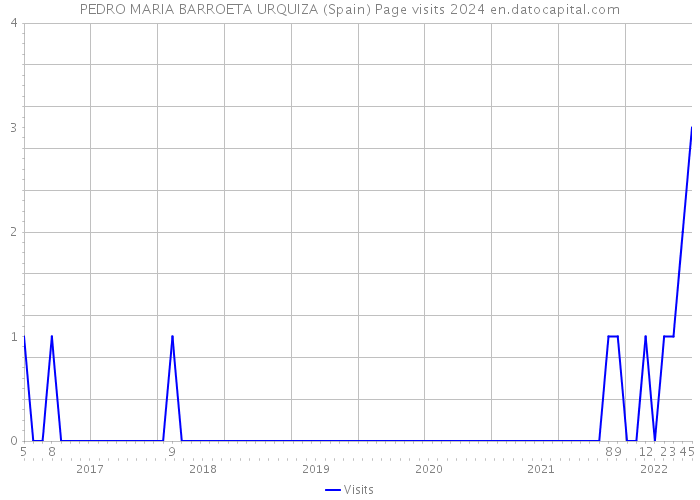 PEDRO MARIA BARROETA URQUIZA (Spain) Page visits 2024 
