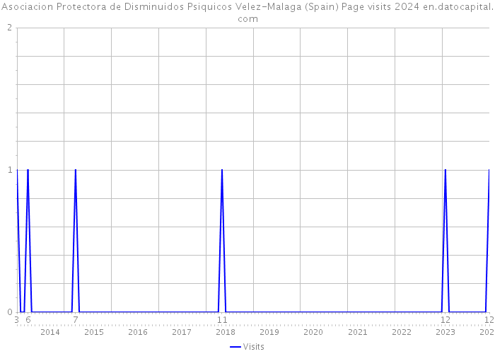 Asociacion Protectora de Disminuidos Psiquicos Velez-Malaga (Spain) Page visits 2024 