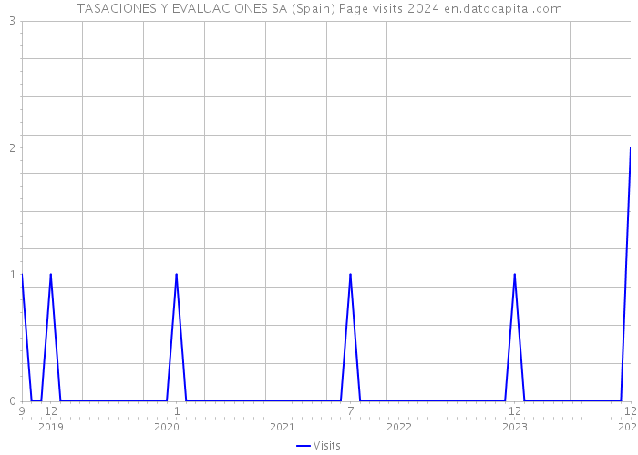 TASACIONES Y EVALUACIONES SA (Spain) Page visits 2024 