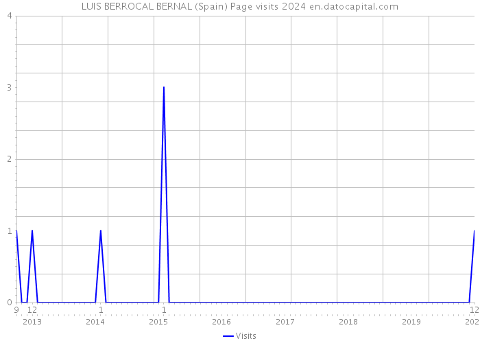 LUIS BERROCAL BERNAL (Spain) Page visits 2024 