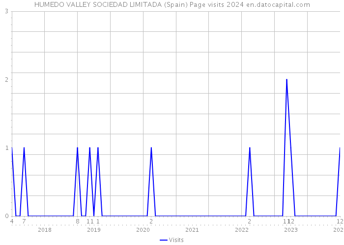 HUMEDO VALLEY SOCIEDAD LIMITADA (Spain) Page visits 2024 