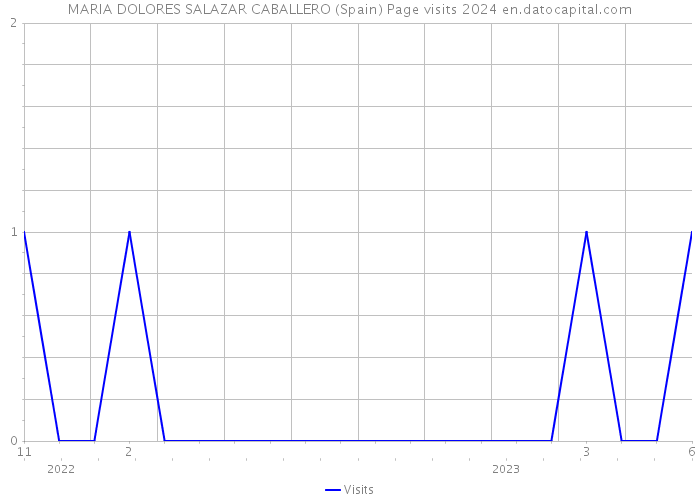 MARIA DOLORES SALAZAR CABALLERO (Spain) Page visits 2024 