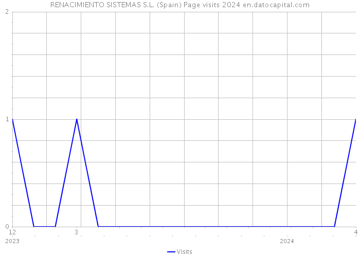 RENACIMIENTO SISTEMAS S.L. (Spain) Page visits 2024 