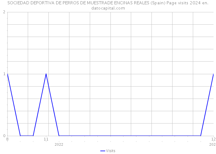 SOCIEDAD DEPORTIVA DE PERROS DE MUESTRADE ENCINAS REALES (Spain) Page visits 2024 