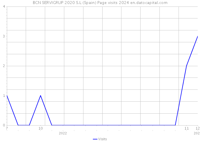 BCN SERVIGRUP 2020 S.L (Spain) Page visits 2024 
