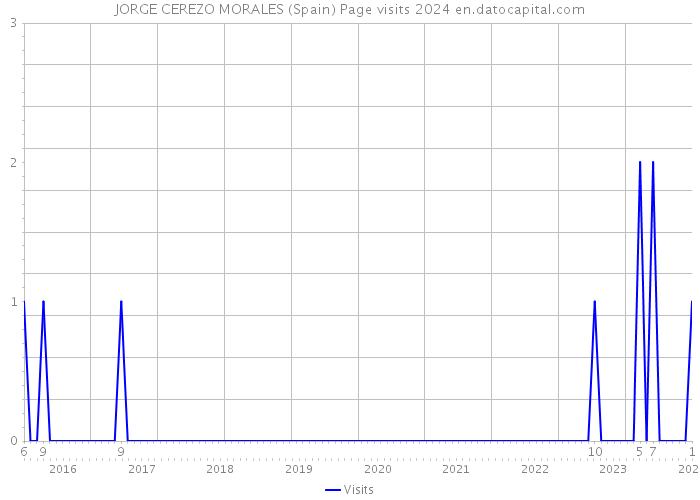 JORGE CEREZO MORALES (Spain) Page visits 2024 