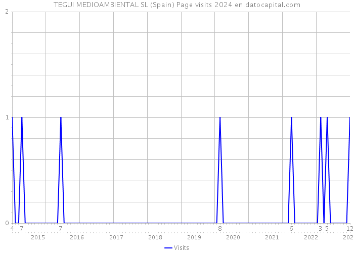 TEGUI MEDIOAMBIENTAL SL (Spain) Page visits 2024 