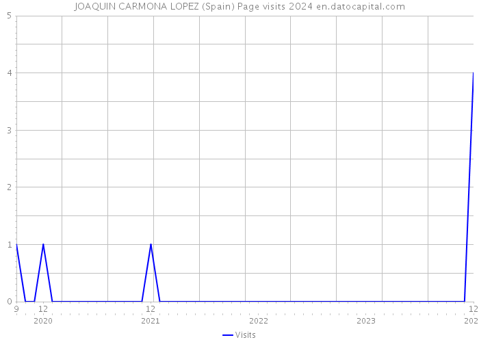 JOAQUIN CARMONA LOPEZ (Spain) Page visits 2024 