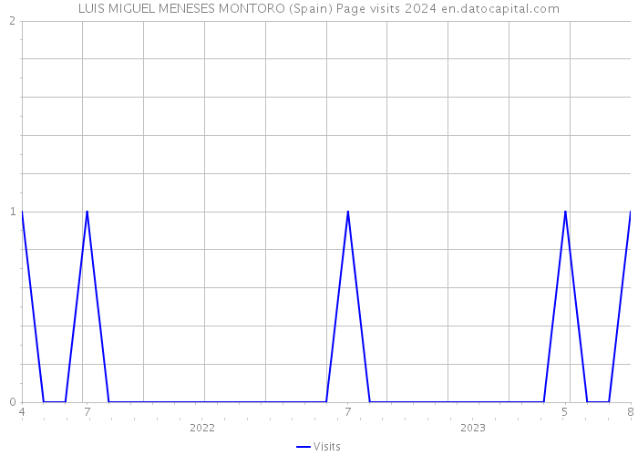 LUIS MIGUEL MENESES MONTORO (Spain) Page visits 2024 