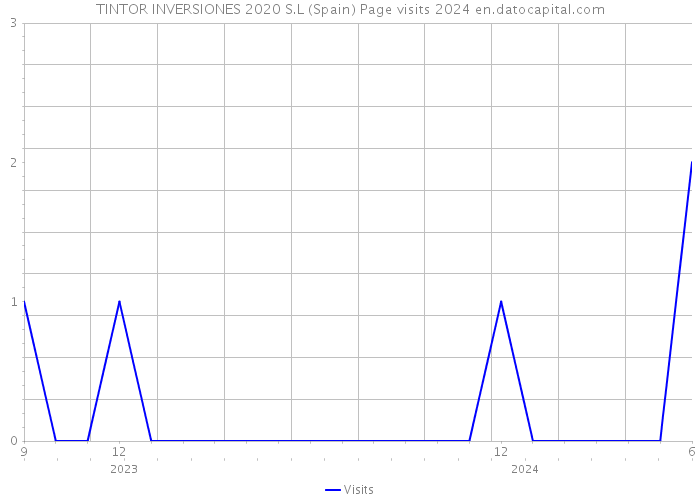 TINTOR INVERSIONES 2020 S.L (Spain) Page visits 2024 