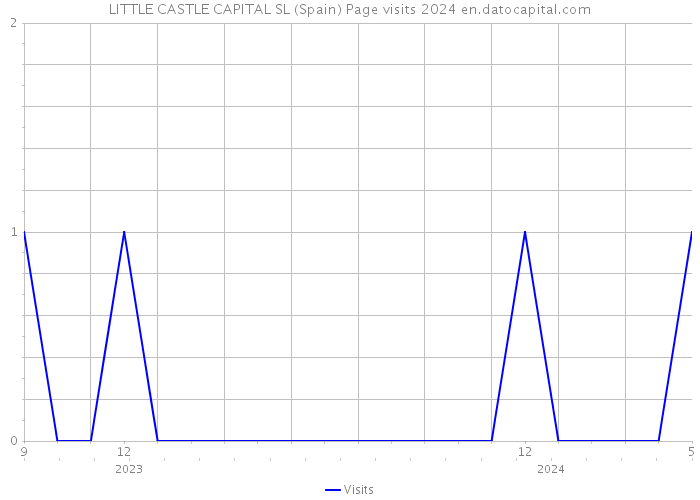 LITTLE CASTLE CAPITAL SL (Spain) Page visits 2024 