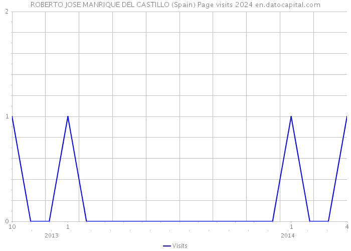 ROBERTO JOSE MANRIQUE DEL CASTILLO (Spain) Page visits 2024 