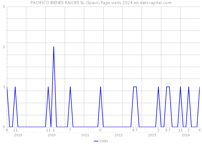 PACIFICO BIENES RAICES SL (Spain) Page visits 2024 