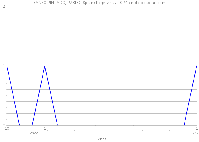 BANZO PINTADO, PABLO (Spain) Page visits 2024 