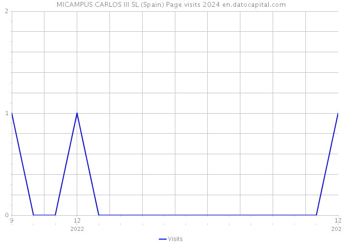 MICAMPUS CARLOS III SL (Spain) Page visits 2024 
