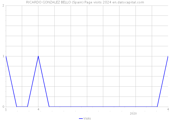 RICARDO GONZALEZ BELLO (Spain) Page visits 2024 