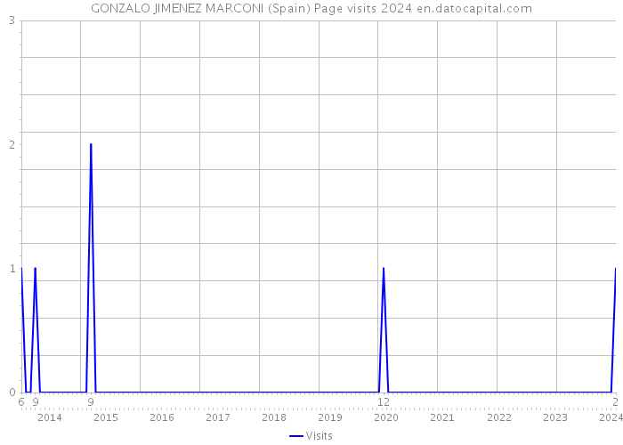 GONZALO JIMENEZ MARCONI (Spain) Page visits 2024 