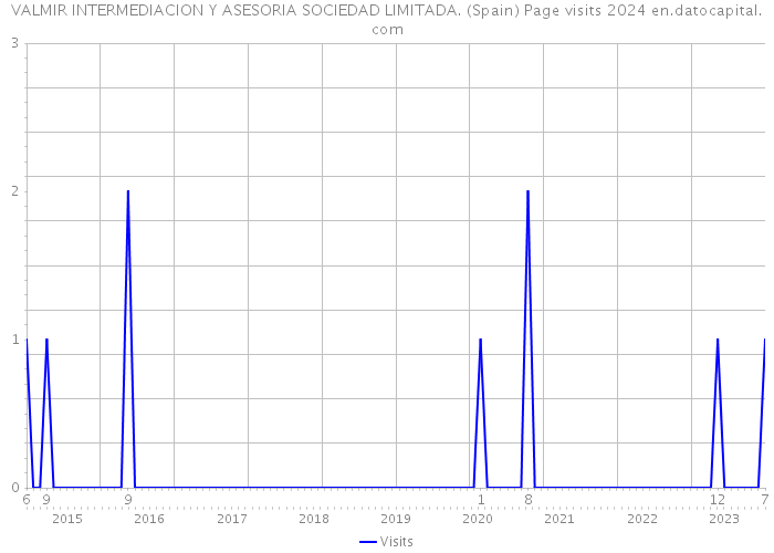 VALMIR INTERMEDIACION Y ASESORIA SOCIEDAD LIMITADA. (Spain) Page visits 2024 