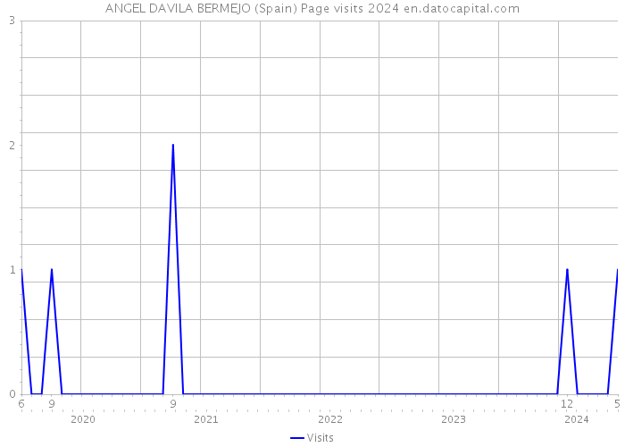 ANGEL DAVILA BERMEJO (Spain) Page visits 2024 