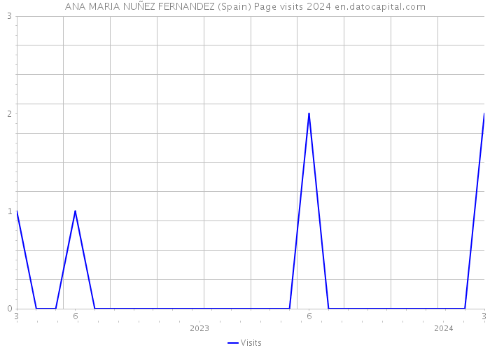 ANA MARIA NUÑEZ FERNANDEZ (Spain) Page visits 2024 