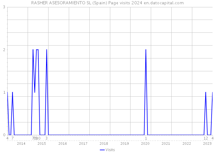 RASHER ASESORAMIENTO SL (Spain) Page visits 2024 