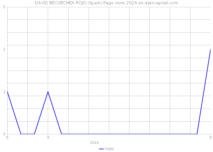 DAVID BECOECHEA ROJO (Spain) Page visits 2024 