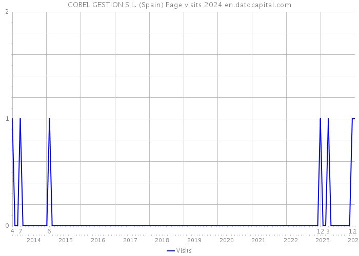 COBEL GESTION S.L. (Spain) Page visits 2024 