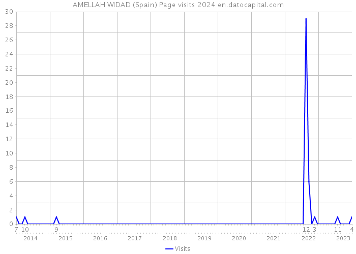 AMELLAH WIDAD (Spain) Page visits 2024 