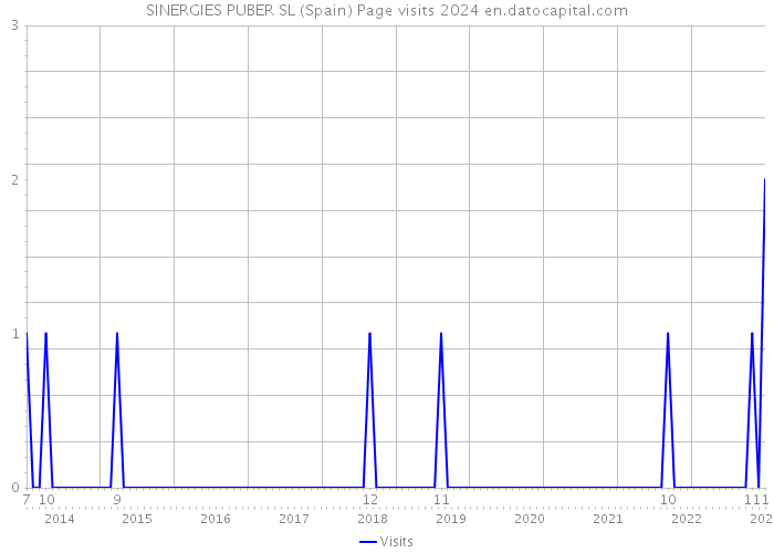 SINERGIES PUBER SL (Spain) Page visits 2024 