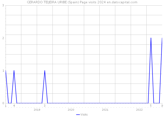 GERARDO TEIJEIRA URIBE (Spain) Page visits 2024 