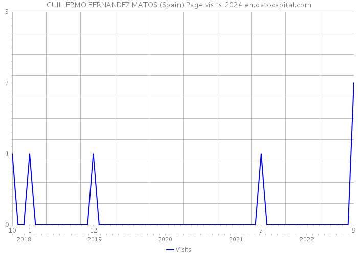 GUILLERMO FERNANDEZ MATOS (Spain) Page visits 2024 